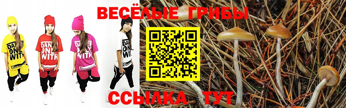 Галлюциногенные грибы MAGIC MUSHROOMS Дальнегорск